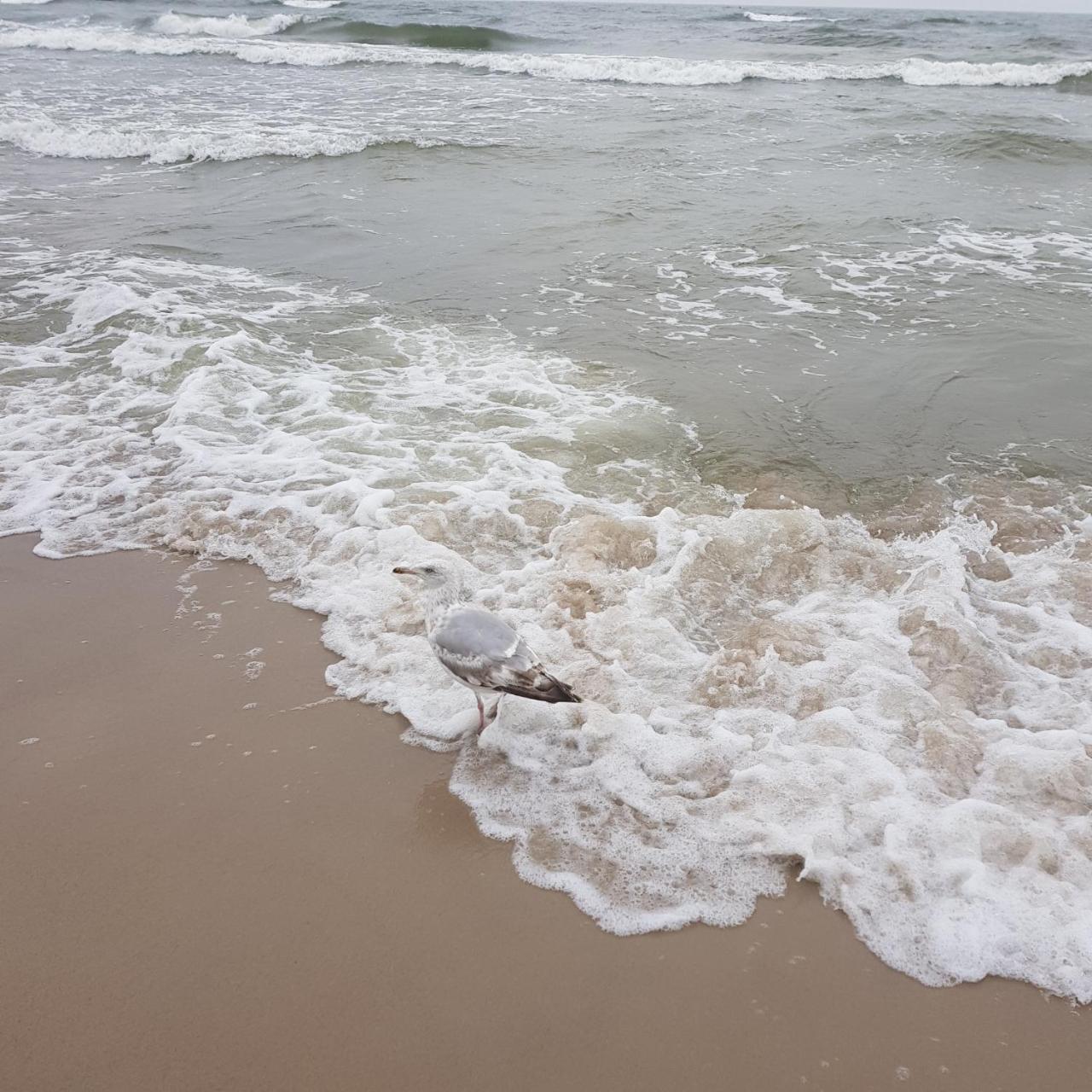Ania Apartman Ustka Kültér fotó